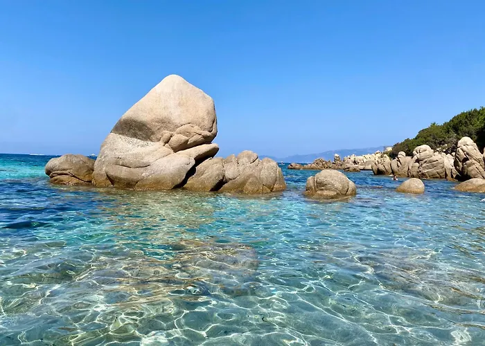 Daire A Casetta Spacieux T2 50m2 Neuf Terrasse & Jardin Privatif A 3min Des Belles Plages Porticcio (Corsica)