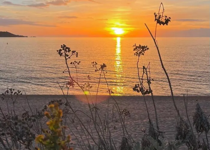 A Casetta Spacieux T2 50m2 Neuf Terrasse & Jardin Privatif A 3min Des Belles Plages * Porticcio (Corsica)