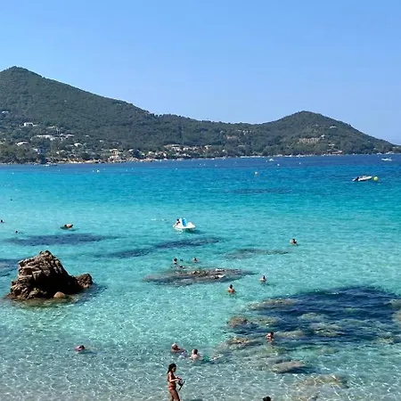 à Casetta Spacieux T2 50m2 Neuf Terrasse&jardin Privatif à 3min Des Belles Plages