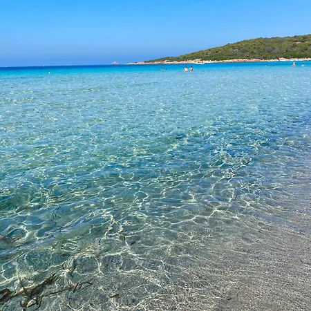 à Casetta Spacieux T2 50m2 Neuf Terrasse&jardin Privatif à 3min Des Belles Plages Appartamento Porticcio (Corsica)