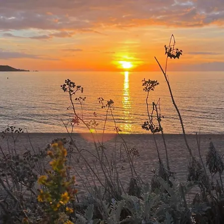 à Casetta Spacieux T2 50m2 Neuf Terrasse&jardin Privatif à 3min Des Belles Plages * Porticcio (Corsica)