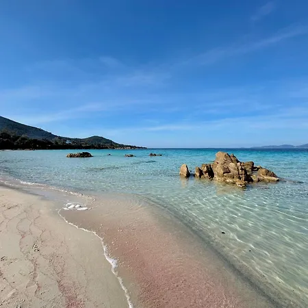Apartamento à Casetta Spacieux T2 50m2 Neuf Terrasse&jardin Privatif à 3min Des Belles Plages