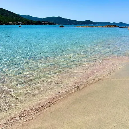 A Casetta Spacieux T2 50m2 Neuf Terrasse & Jardin Privatif A 3min Des Belles Plages Apartmán *