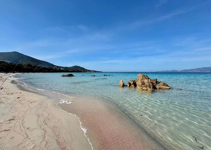 Apartment A Casetta Spacieux T2 50m2 Neuf Terrasse & Jardin Privatif A 3min Des Belles Plages