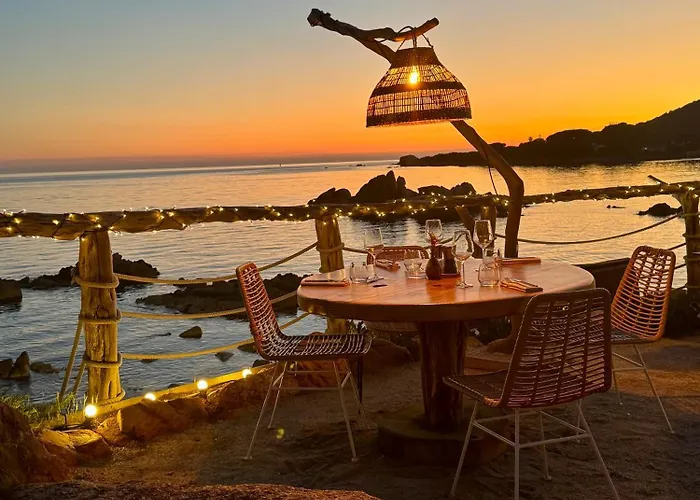 公寓 A Casetta Spacieux T2 50m2 Neuf Terrasse & Jardin Privatif A 3min Des Belles Plages 波尔蒂乔