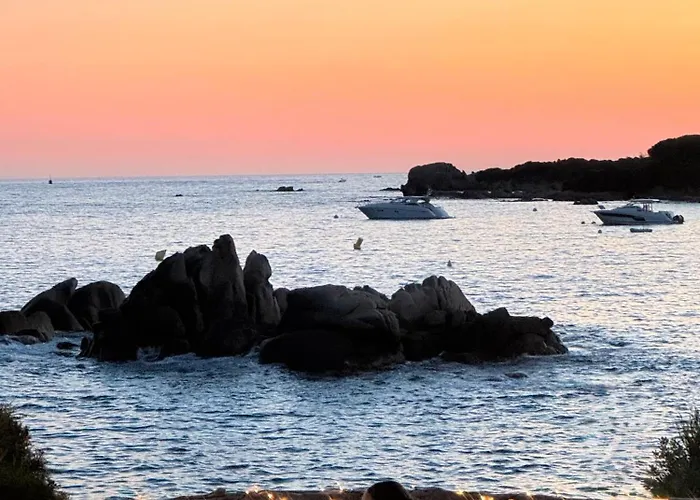 公寓 A Casetta Spacieux T2 50m2 Neuf Terrasse & Jardin Privatif A 3min Des Belles Plages 波尔蒂乔